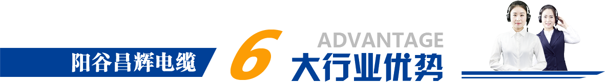 六大行業(yè)優(yōu)勢